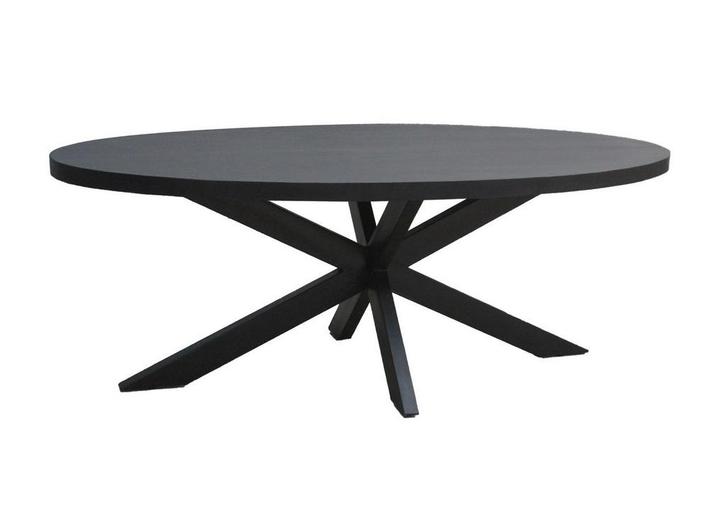 Kala Oval Spider 160cm-31059, Huis en Inrichting, Tafels | Eettafels, Ophalen of Verzenden