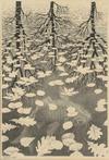 Gevraagd: origineel werk van M.C. Escher