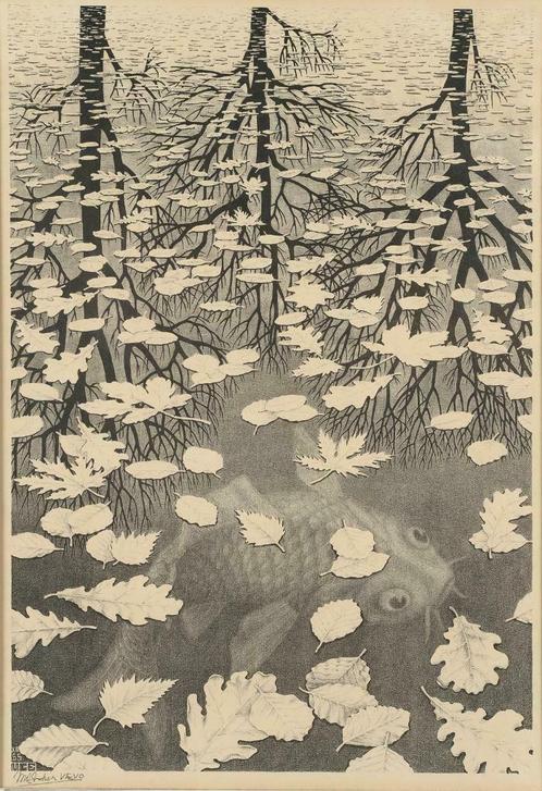 Gevraagd: origineel werk van M.C. Escher, Antiek en Kunst, Kunst | Overige Kunst