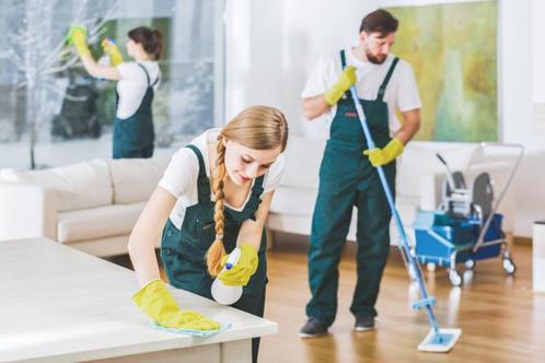 Probiotisch Schoonmaak Pakket, Huis en Inrichting, Schoonmaakartikelen, Schoonmaakmiddel, Ophalen of Verzenden