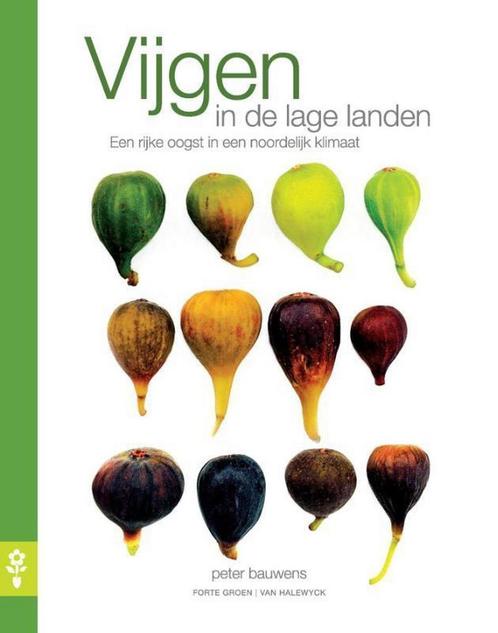 Vijgen in de lage landen 9789462500778 Peter Bauwens, Boeken, Hobby en Vrije tijd, Zo goed als nieuw, Verzenden