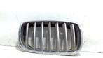 Grillerooster rechts BMW X5  30d xDrive 51137171396, Ophalen of Verzenden, Gebruikt, BMW
