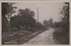 WELY - Groenestraat, Verzamelen, Verzenden, Gelopen