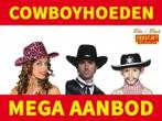 Diverse Cowboy hoeden - Western hoed & kleding, Kleding | Heren, Carnavalskleding en Feestkleding, Nieuw, Ophalen of Verzenden