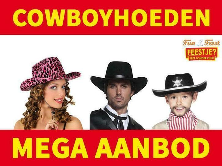 Diverse Cowboy hoeden - Western hoed & kleding, Kleding | Heren, Carnavalskleding en Feestkleding, Accessoires, Nieuw, Ophalen of Verzenden