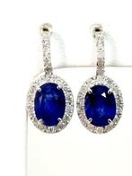 Oorbellen - 18 karaat Witgoud Saffier - Diamant, Nieuw