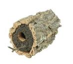 Vogelhuisje van kurkschors, Ophalen of Verzenden, Nieuw