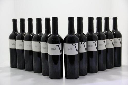 2019 Bodegas César Principe, César Principe - Castilië en, Verzamelen, Wijnen