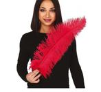 Rode Struisvogelveren 50cm 12st, Verzenden, Nieuw