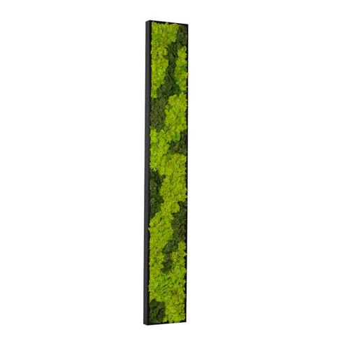 Vintlux Mosschilderij 15x120 cm Zwart - Nyborg, Huis en Inrichting, Woonaccessoires | Wanddecoraties
