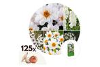 Zomer bloembollen Wit- mix van 125, Huis en Inrichting, Kamerplanten, Verzenden