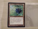 Wizards of The Coast - 1 Card - Black Lotus, Hobby en Vrije tijd, Verzamelkaartspellen | Magic the Gathering, Nieuw