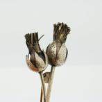 Zonder minimumprijs - Broche Zilver