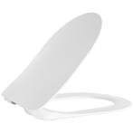 Toiletzitting BWS Flat Softclose met Inox Scharnieren Mat, Ophalen of Verzenden, Nieuw, Overige typen