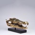 sculptuur, Saltwater Crocodile Skull fashioned in bronze, on