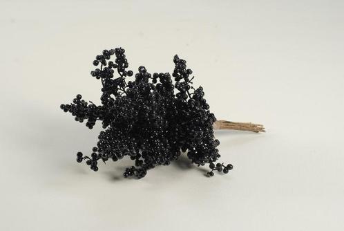 Bunch berrie 30 cm. Foam Zwart, Black Bunch berrie 30, Hobby en Vrije tijd, Knutselen, Nieuw, Ophalen of Verzenden