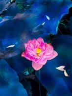 Viet Ha Tran - Light in the dark