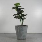 Gebruikte plantenbak met nieuwe kunstplant - Lichtgrijs -, Huis en Inrichting, Kamerplanten, Ophalen of Verzenden
