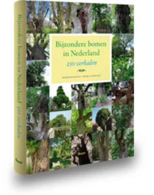 Bijzondere bomen in Nederland 9789085069348 Girbe Buist, Boeken, Overige Boeken, Zo goed als nieuw, Verzenden
