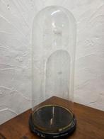 Globe - stolp - antiek - 1901-1920 - Antieke ronde stolp