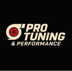 Dyno Stage 1 en 2 Roetfilter Adblue EGR DTC Off. Op locatie!