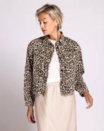 -30% Zhrill  Zhrill Jasje zj100-w210 zhlouie  maat XS, Verzenden, Nieuw, Beige