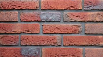 art 8252 reno rood nuance waalformaat gevelstenen beschikbaar voor biedingen