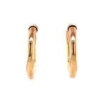 Gladde oorringen 9 krt, Ophalen of Verzenden, Nieuw