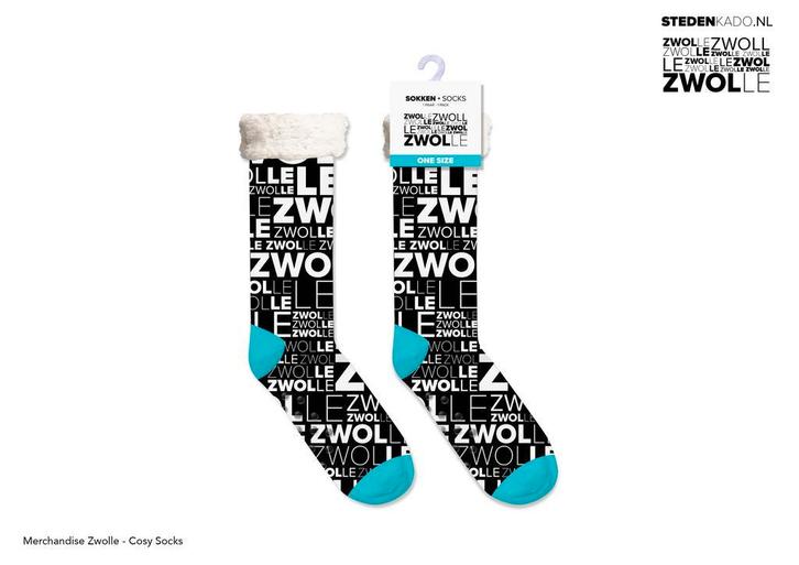 PARTIJ HUISSOKKEN ZWOLLE, Kleding | Dames, Sokken en Kousen, Nieuw, Verzenden