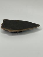 NWA 16900 BRACHINITE primitieve achondriet meteoriet - 8.78