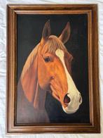 Geradus Jan Adema (1898-1981) - Paard
