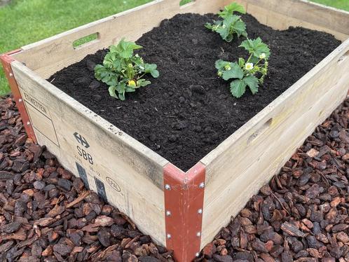 Moestuinbakken compleet kant en klaar! Incl bemesting, Tuin en Terras, Bloembakken en Plantenbakken, 30 tot 60 cm, 100 cm of meer