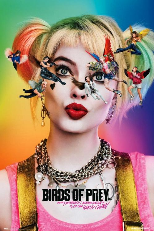 Poster Birds of Prey Dazed and Confused 61x91,5cm, Verzamelen, Posters, Nieuw, A1 t/m A3, Verzenden