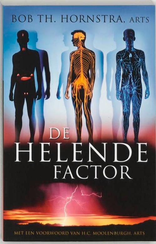 De helende factor 9789020243796 B.Th. Hornstra, Boeken, Wetenschap, Gelezen, Verzenden