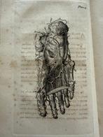 Caverhill, Gardiner, Wells, Longstreth - Lot with 4 Medical, Antiek en Kunst