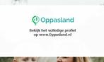 Sabine zoekt een oppas in Putten voor 1 kind op zaterdag.
