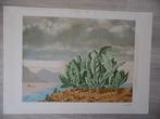 René Magritte (1898-1967) - Lîle mystérieuse, Antiek en Kunst
