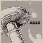 LP gebruikt - Seid - Among The Monster Flowers Again, Verzenden, Zo goed als nieuw