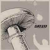 LP gebruikt - Seid - Among The Monster Flowers Again, Cd's en Dvd's, Vinyl | Overige Vinyl, Zo goed als nieuw, Verzenden