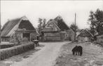 ORVELTE - Dorpsgezicht, Verzenden, Gelopen