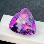 Zonder minimumprijs - 1 pcs Paars Amethist - 88.85 ct -, Nieuw