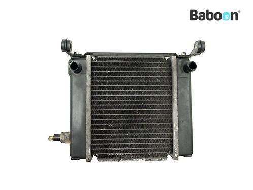 Radiateur Kymco Downtown 200 i 2011-2015, Motoren, Onderdelen | Overige, Gebruikt, Verzenden
