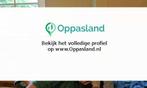 Marieke zoekt een oppas in Vinkel voor 3 kinderen op maan..., Nieuw