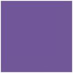 Neon Purple Luncheon Servetten, 20ct, Nieuw, Verzenden
