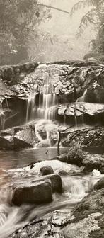 Sebastião Salgado (1944-2025) - Amazonia. Creek