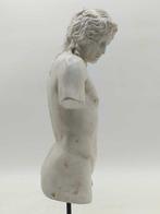 sculptuur, Torso di Eros - 47 cm - marmerstof, Antiek en Kunst