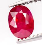 Zonder Minimumprijs Robijn - 1.03 ct - Bellerophon Gemlab -, Nieuw