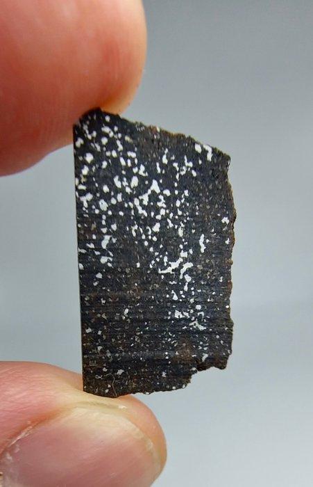 Acapulco meteoriet (NWA 16397). Zeer zeldzaam meteoriet. -, Verzamelen, Mineralen en Fossielen