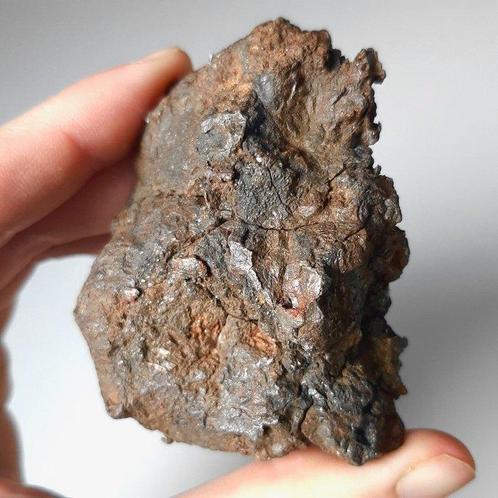 Uitstekende Sericho-meteoriet. Pallasiet uit Kenia - 282 g, Verzamelen, Mineralen en Fossielen