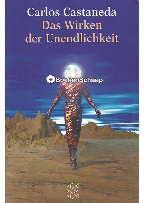 Das Wirken der Unendlichkeit Carlos Castaneda, Boeken, Esoterie en Spiritualiteit, Verzenden